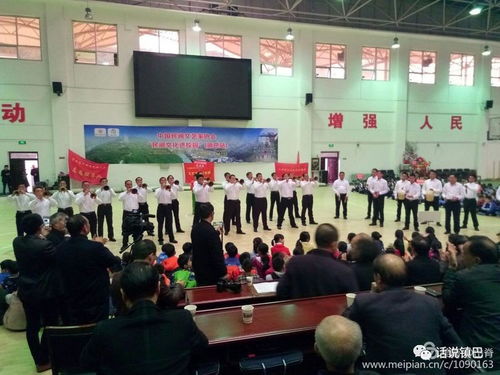 民間文藝綻放校園，文化傳承走進(jìn)鎮(zhèn)巴——中國(guó)民間文藝家協(xié)會(huì)‘民間文化進(jìn)校園’活動(dòng)紀(jì)實(shí)